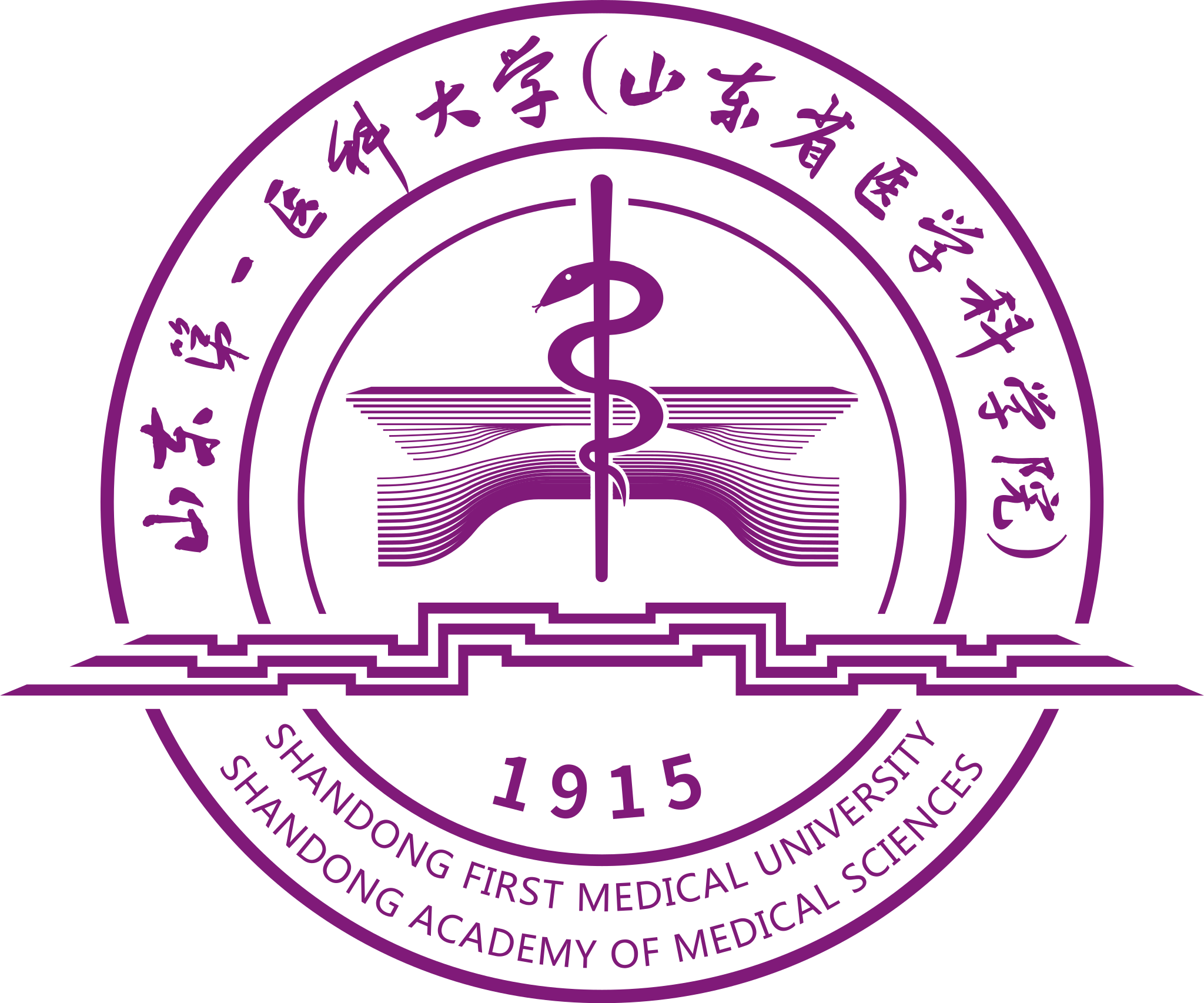 山东第一医科大学 - 医学信息与人工智能学院 标志